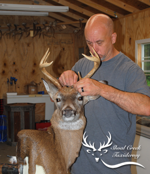 Matt Harris the taxidermist in Alabama